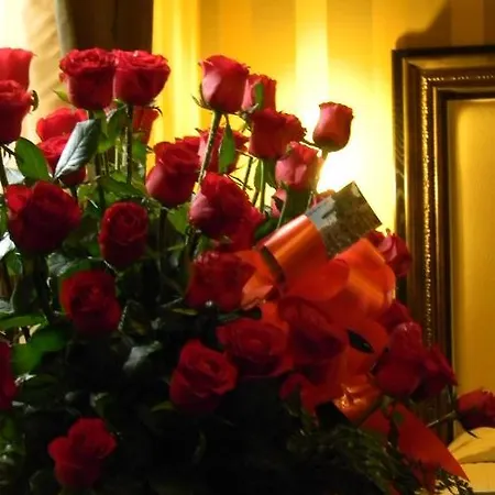 Guest house Domus Romantica 3*