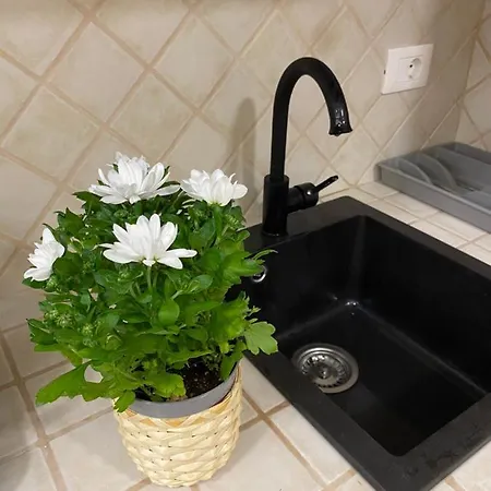 Arco Di Parma Centro Apartament