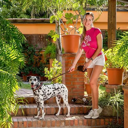 Antica Palmieri 3* Rom