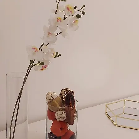 Apartment Conte Rosso