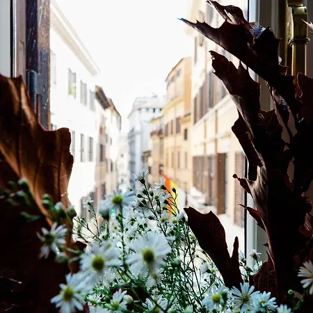 Queenavona Appartamento Roma