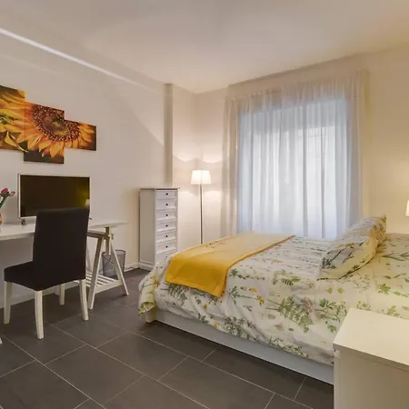 Av Domus Vatican St.peter Bed & Breakfast Rome