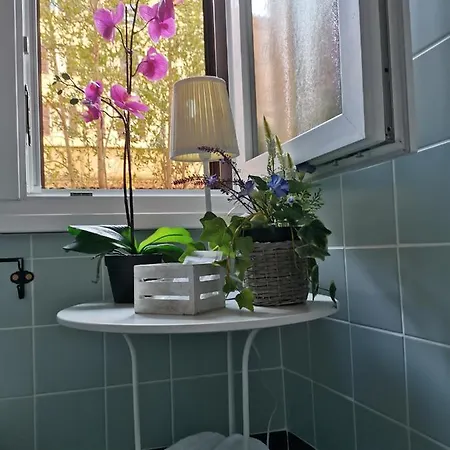 Guest house Vatican Secret Rome