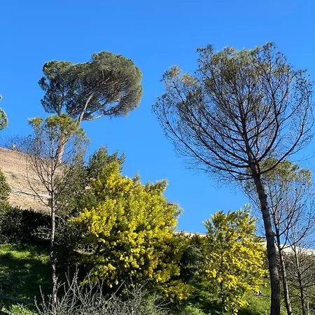 Apartment Vatican Holidays House Rome
