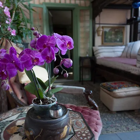 Apartment The Trastevere Penthouse Experience *