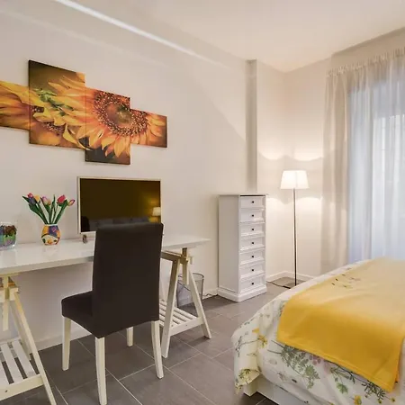 Av Domus Vatican St.peter Bed & Breakfast Rome