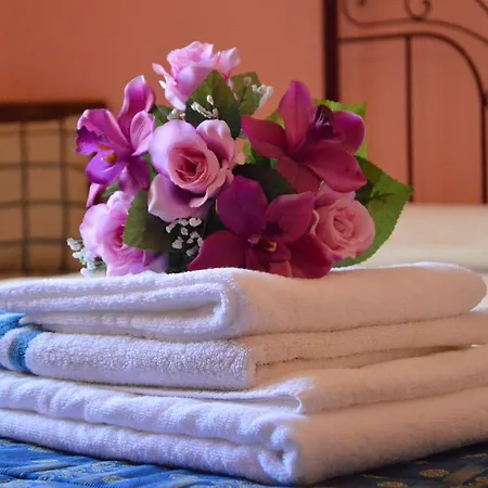 Bed & Breakfast Walls