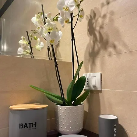 Apartment Pantheon Grand