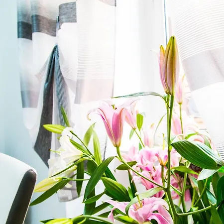 New In The Heart Of Trastevere Apartment