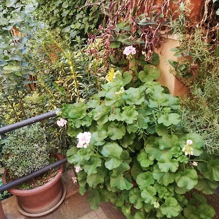 Tra Gianicolo E Trastevere Bed & Breakfast Rome