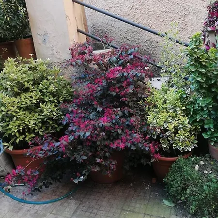 Bed & Breakfast Tra Gianicolo E Trastevere