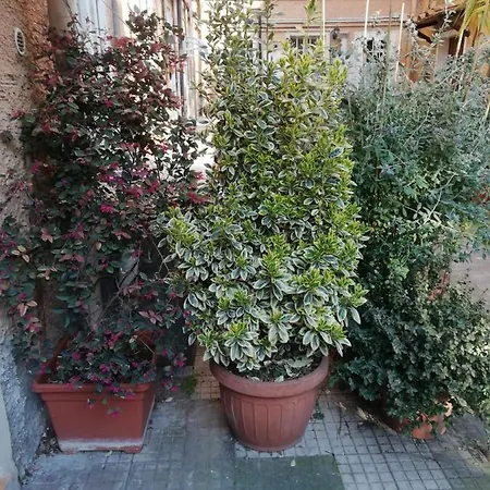 Tra Gianicolo E Trastevere Bed & Breakfast *