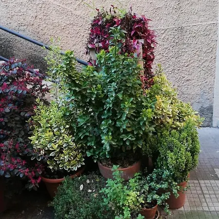 Tra Gianicolo E Trastevere *