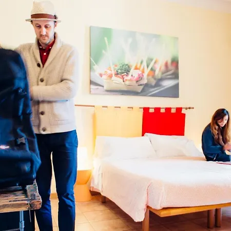 The Beehive Hostel