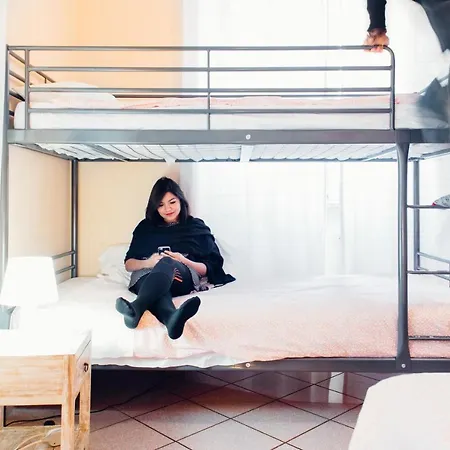 Hostel The Beehive *
