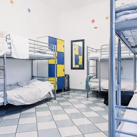 Hostel The Beehive *