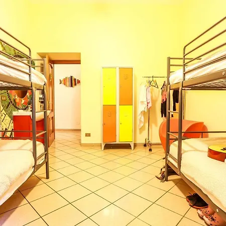The Beehive Hostel *