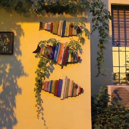 The Beehive Hostel *