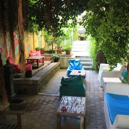 The Beehive Hostel