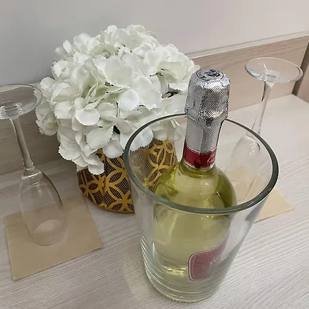 吉欧托弗拉维亚酒店 罗马