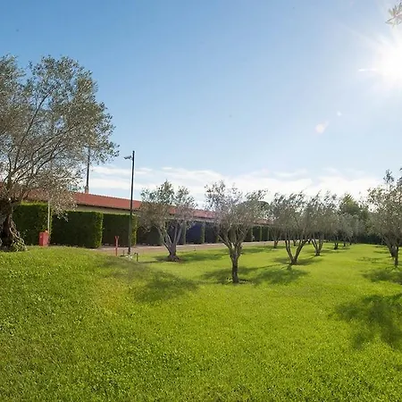 Ways Garden & Leisure 4*