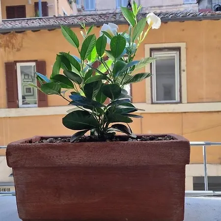 Town House Spagna 2* Roma