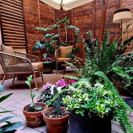 Town House Spagna Affittacamere 2*