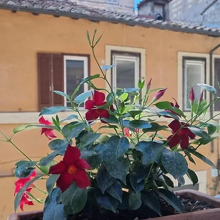 Affittacamere Town House Spagna 2*