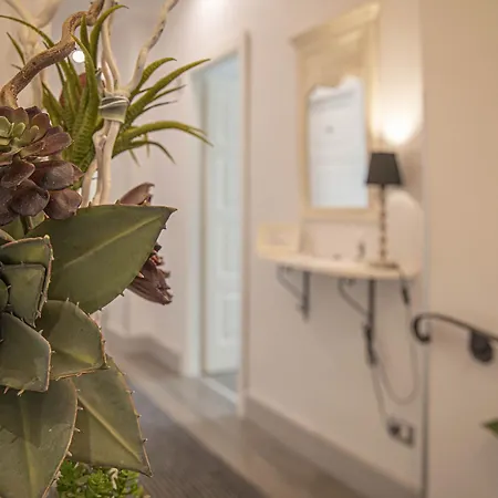 Bed and Breakfast Domus Castrense Ρώμη