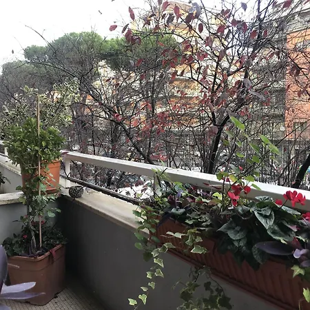 Guest house Casa Mia Vaticano Rome