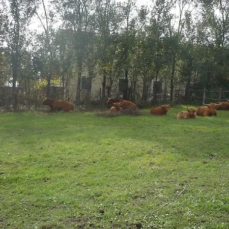 Bed & Breakfast Il Baffetto 3*