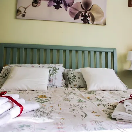 B&B Msg Roma Bed & Breakfast 3*