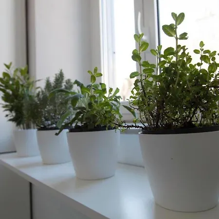 Appartement Navona Design Casa E Per Vacanze Rome