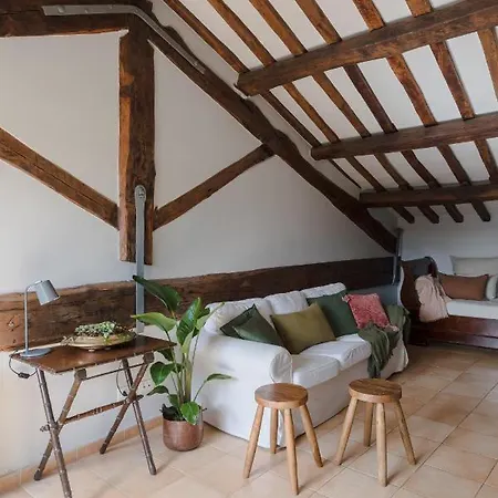 Apartment Amazing Penthouse With Terrace And Rooftop In Trastevere *