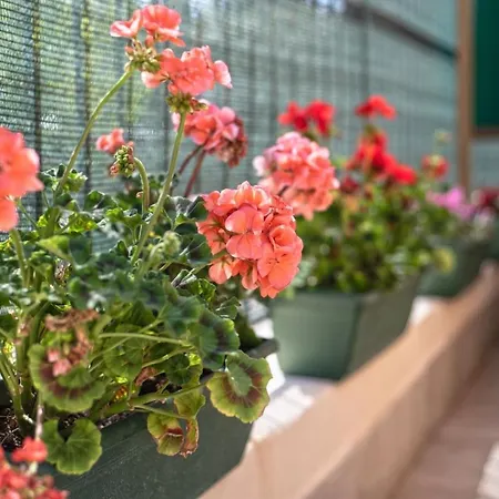 Apartment Garden House Vale Rome