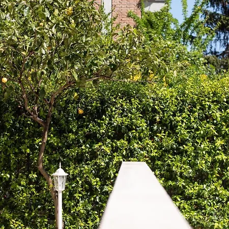 Apartment Garden House Vale *