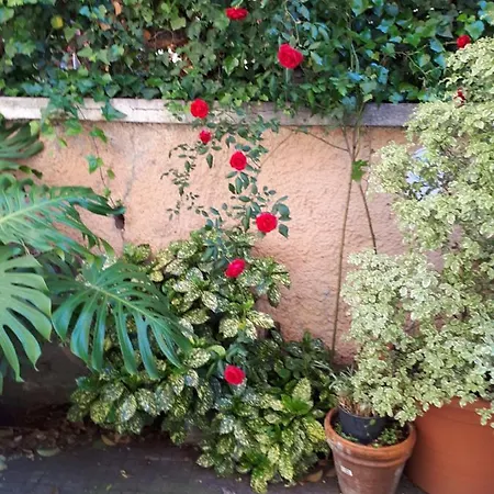 Tra Gianicolo E Trastevere Bed & Breakfast *