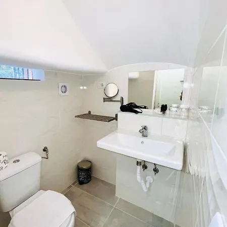 Hotel Pisa Roma