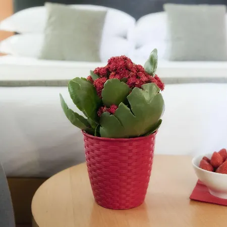 Hotel Western Ars 4*