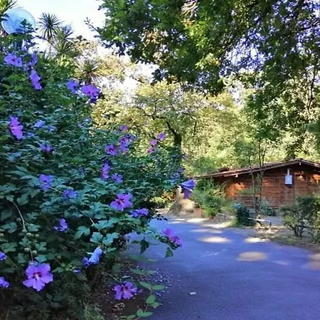 Seven Hills Village Campsite Rome