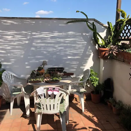 Lizartgarden Panoramic