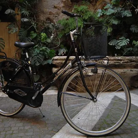 Guest house Residenza Frattina Rome