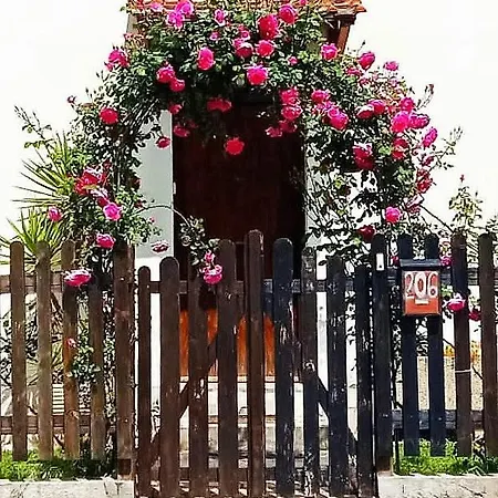 Valletta Fiorita * Rome
