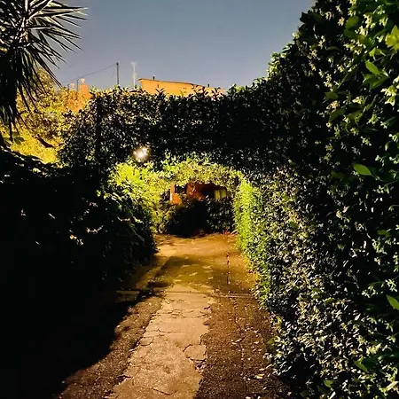 Cosy In The Greenest Corner Of Trastevere Apartment Rome