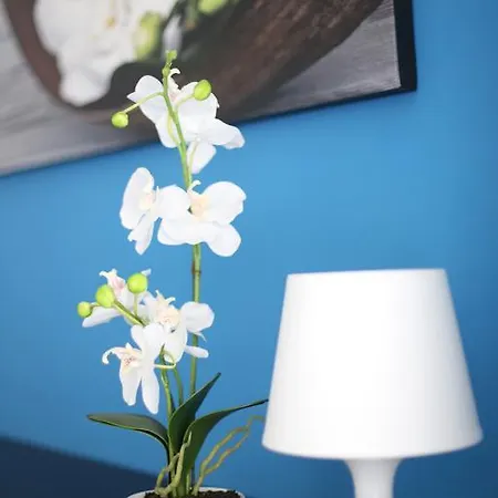 Affittacamere Iris Roma