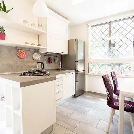 Appia Purple Terrace In Apartment Rome