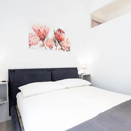Appia Purple Terrace In Apartment