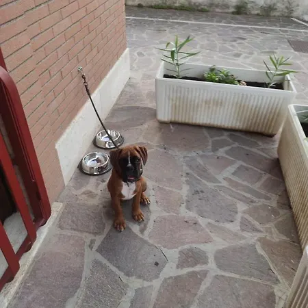 1 * Roma