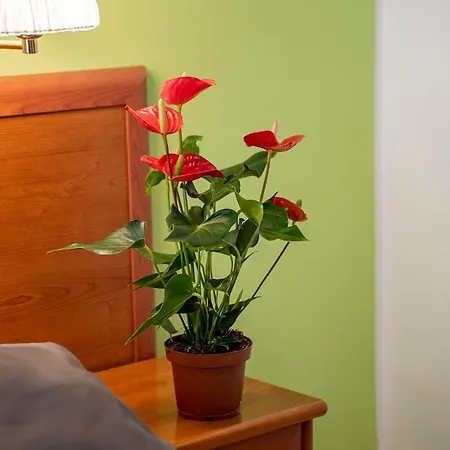 Il Passetto Guest house