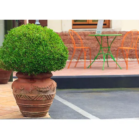 Eurogarden